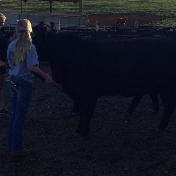 Meet your Posher, Kayleigh - Picture 1 of 1